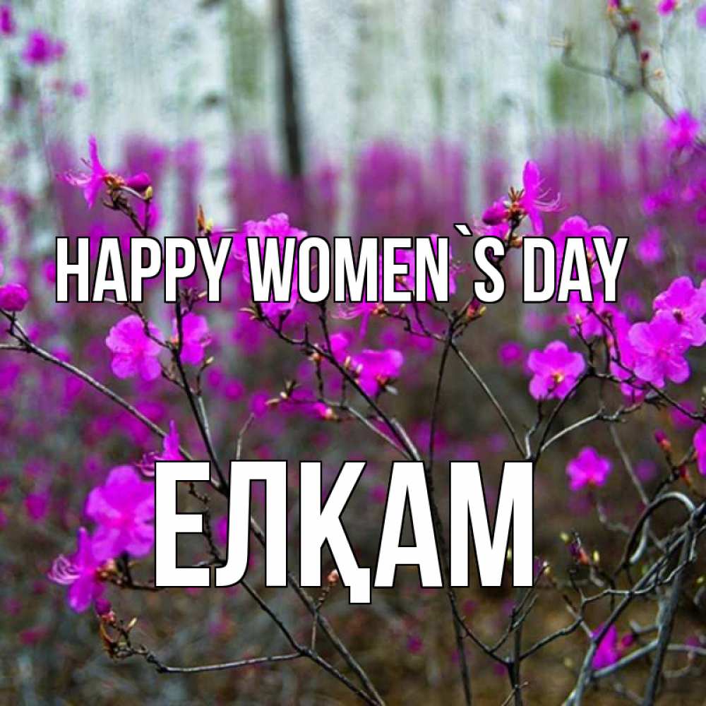 Greetings card с именем, Елқам happy women`s day дикие цветы Greetings with text for free download 